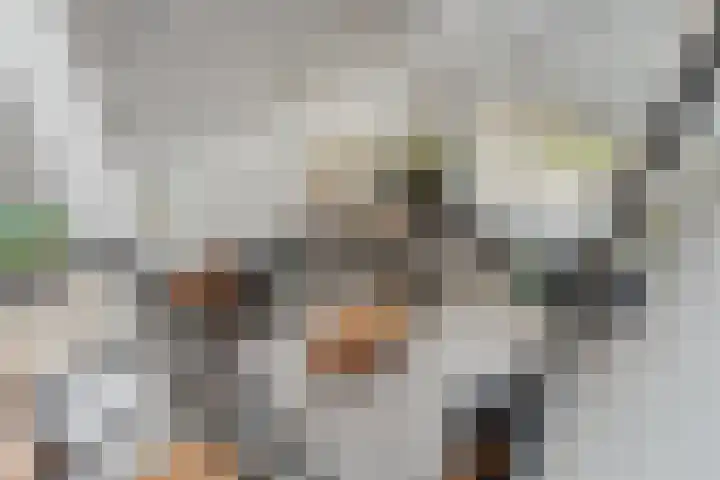 De Lisdodde 48 Dedemsvaart thumbnail 13