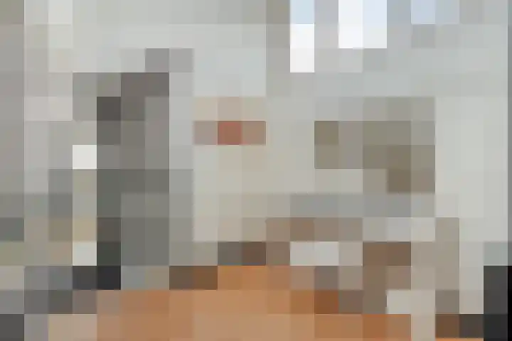 De Lisdodde 48 Dedemsvaart thumbnail 15