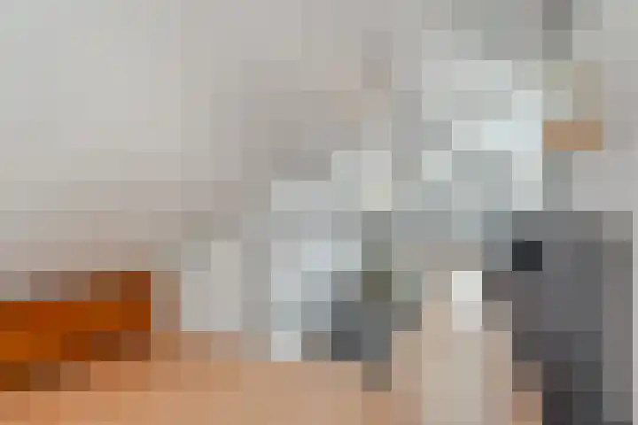 De Lisdodde 48 Dedemsvaart thumbnail 17