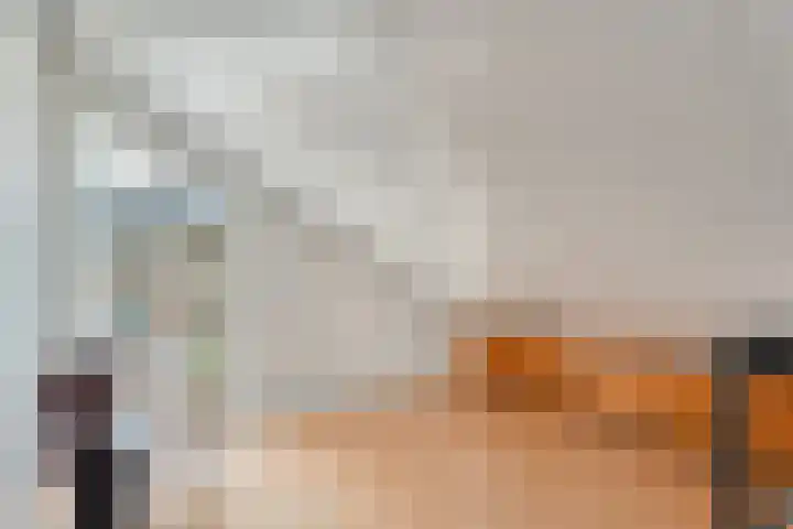 De Lisdodde 48 Dedemsvaart thumbnail 18