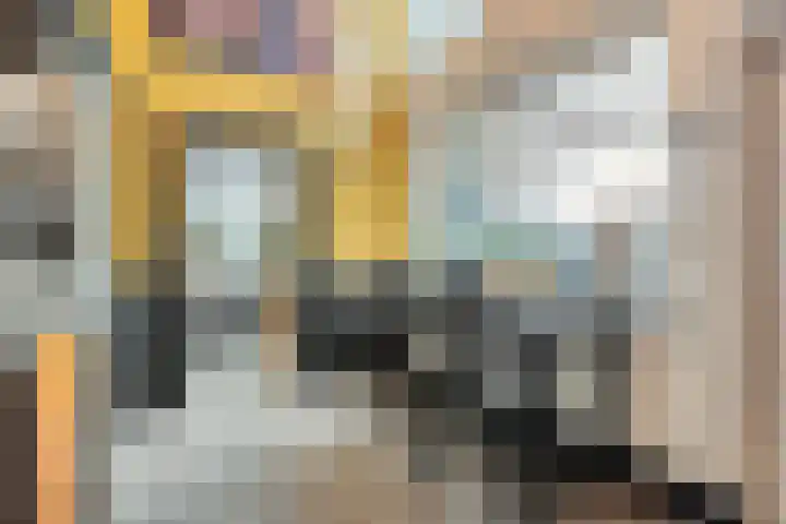 De Lisdodde 48 Dedemsvaart thumbnail 21