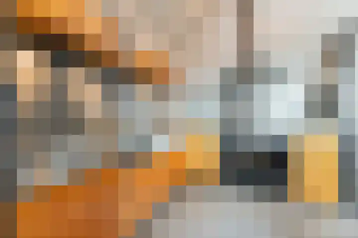 De Lisdodde 48 Dedemsvaart thumbnail 22