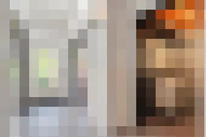 De Lisdodde 48 Dedemsvaart thumbnail 23