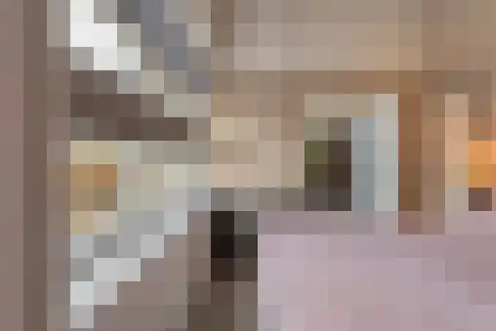 De Lisdodde 48 Dedemsvaart thumbnail 27