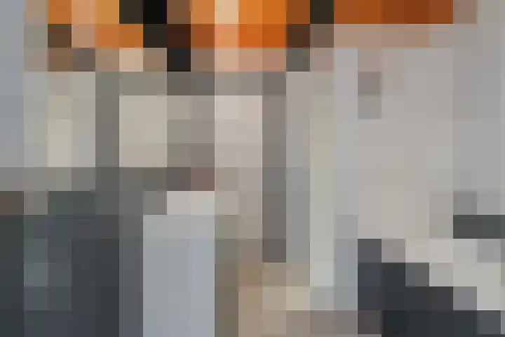 De Lisdodde 48 Dedemsvaart thumbnail 28