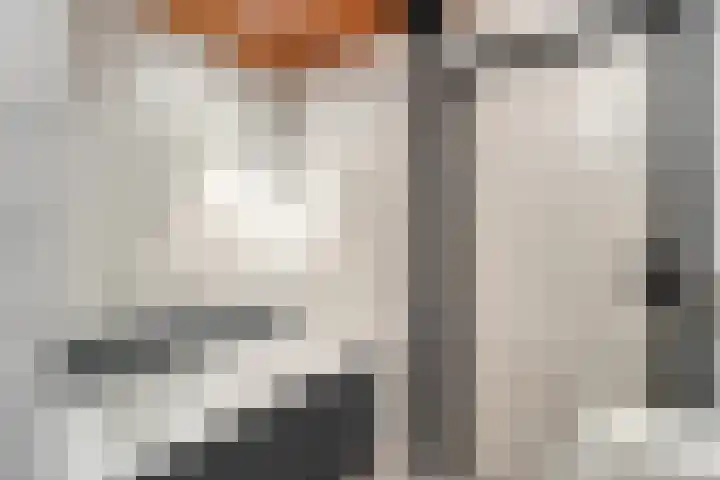 De Lisdodde 48 Dedemsvaart thumbnail 29
