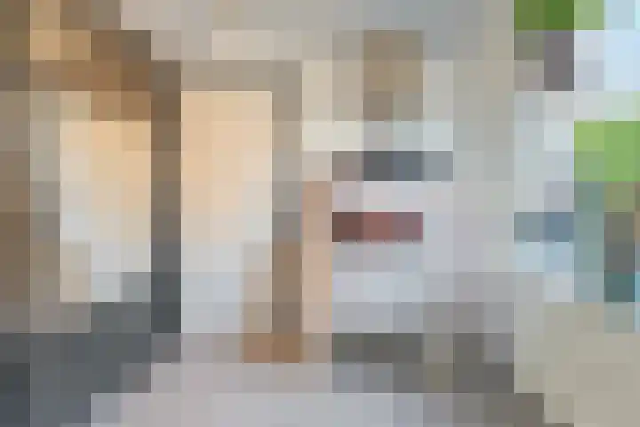 De Lisdodde 48 Dedemsvaart thumbnail 32