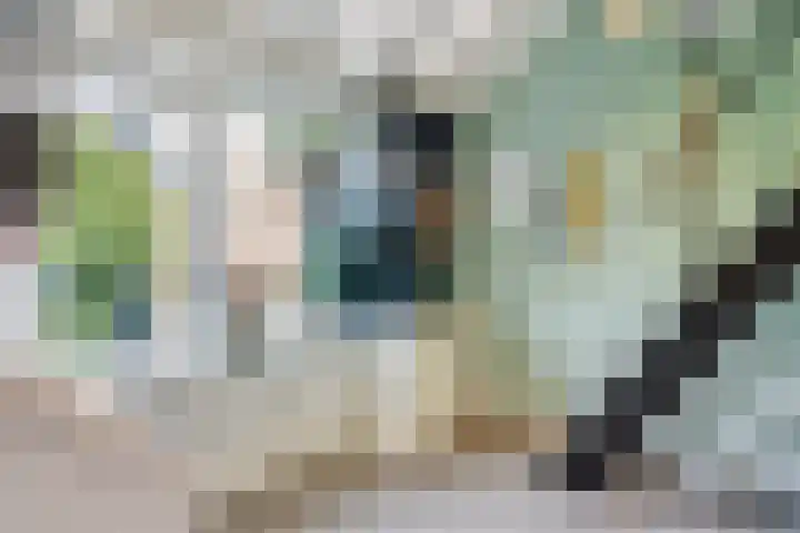 De Lisdodde 48 Dedemsvaart thumbnail 33