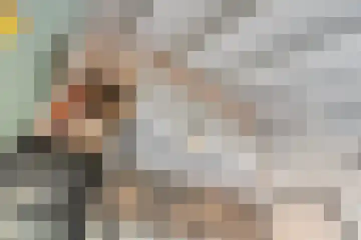 De Lisdodde 48 Dedemsvaart thumbnail 34