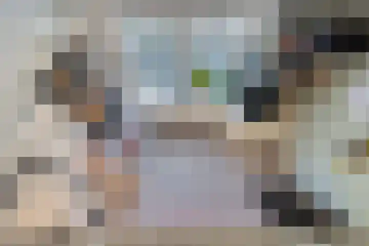 De Lisdodde 48 Dedemsvaart thumbnail 36