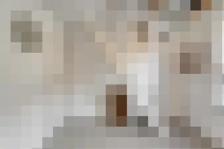 De Lisdodde 48 Dedemsvaart thumbnail 37