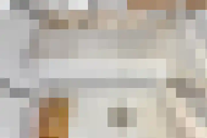 De Lisdodde 48 Dedemsvaart thumbnail 39