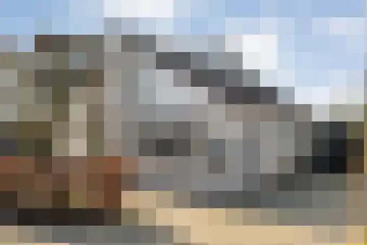 De Lisdodde 48 Dedemsvaart thumbnail 4