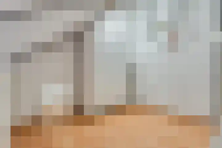 De Lisdodde 48 Dedemsvaart thumbnail 40