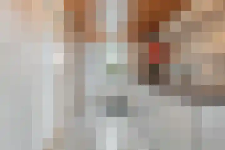 De Lisdodde 48 Dedemsvaart thumbnail 43