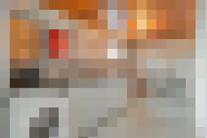 De Lisdodde 48 Dedemsvaart thumbnail 44