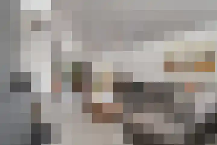 De Lisdodde 48 Dedemsvaart thumbnail 5