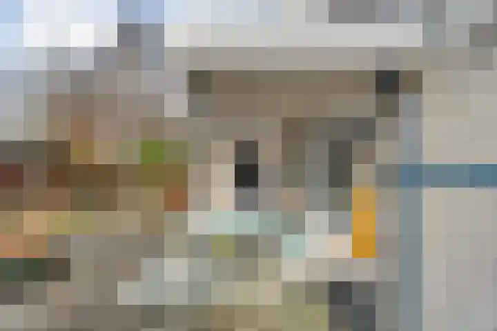 De Lisdodde 48 Dedemsvaart thumbnail 50