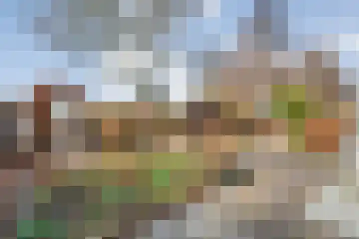 De Lisdodde 48 Dedemsvaart thumbnail 51