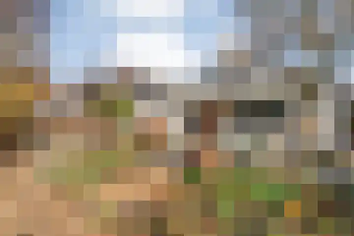 De Lisdodde 48 Dedemsvaart thumbnail 52