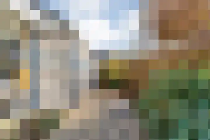 De Lisdodde 48 Dedemsvaart thumbnail 55