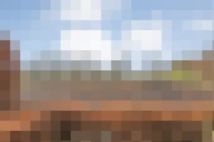 De Lisdodde 48 Dedemsvaart thumbnail 56