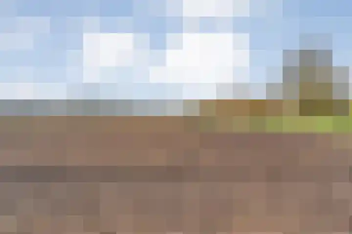 De Lisdodde 48 Dedemsvaart thumbnail 57