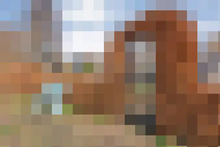 De Lisdodde 48 Dedemsvaart thumbnail 58