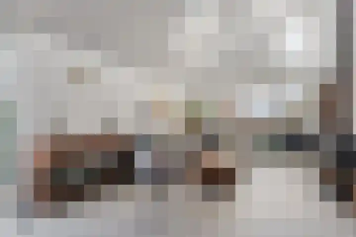 De Lisdodde 48 Dedemsvaart thumbnail 6