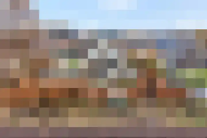 De Lisdodde 48 Dedemsvaart thumbnail 60