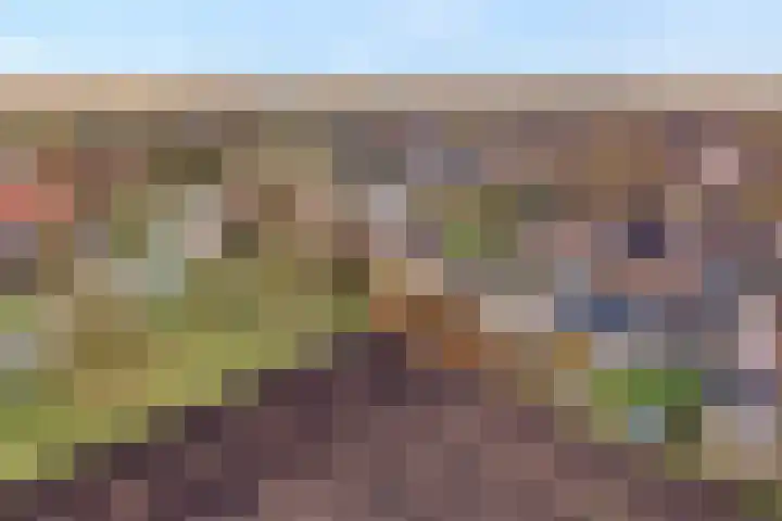 De Lisdodde 48 Dedemsvaart thumbnail 61