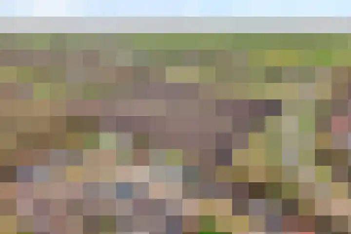 De Lisdodde 48 Dedemsvaart thumbnail 62