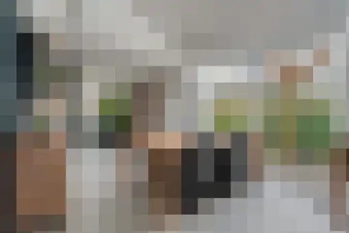 De Lisdodde 48 Dedemsvaart thumbnail 7