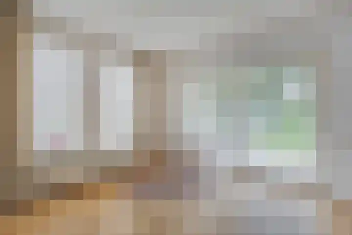 De Lisdodde 54 Dedemsvaart thumbnail 12
