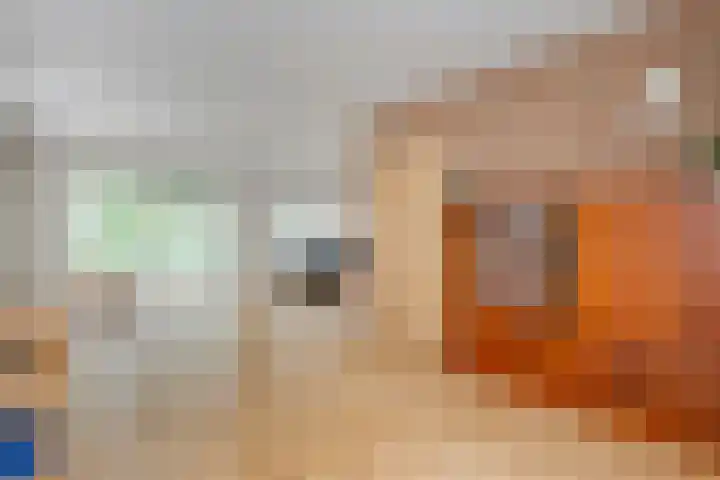 De Lisdodde 54 Dedemsvaart thumbnail 15