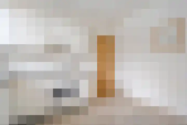 De Lisdodde 54 Dedemsvaart thumbnail 20