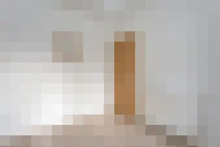 De Lisdodde 54 Dedemsvaart thumbnail 21