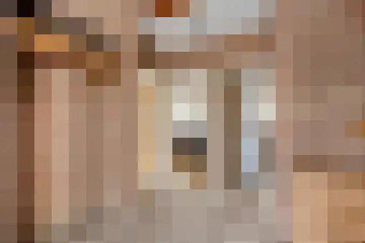 De Lisdodde 54 Dedemsvaart thumbnail 22