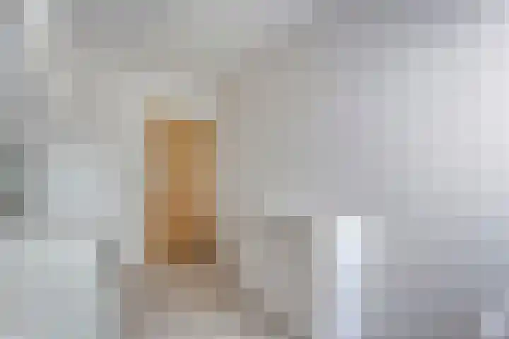 De Lisdodde 54 Dedemsvaart thumbnail 24
