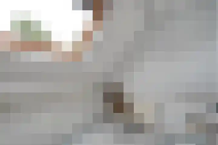 De Lisdodde 54 Dedemsvaart thumbnail 32