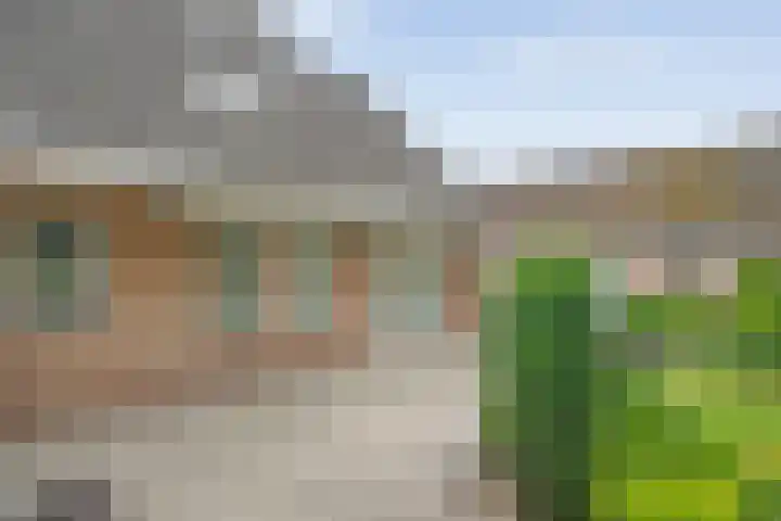 De Lisdodde 54 Dedemsvaart thumbnail 37