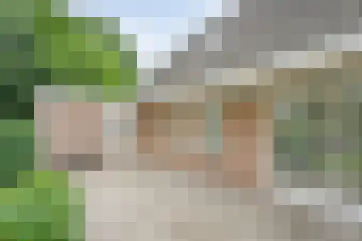 De Lisdodde 54 Dedemsvaart thumbnail 38