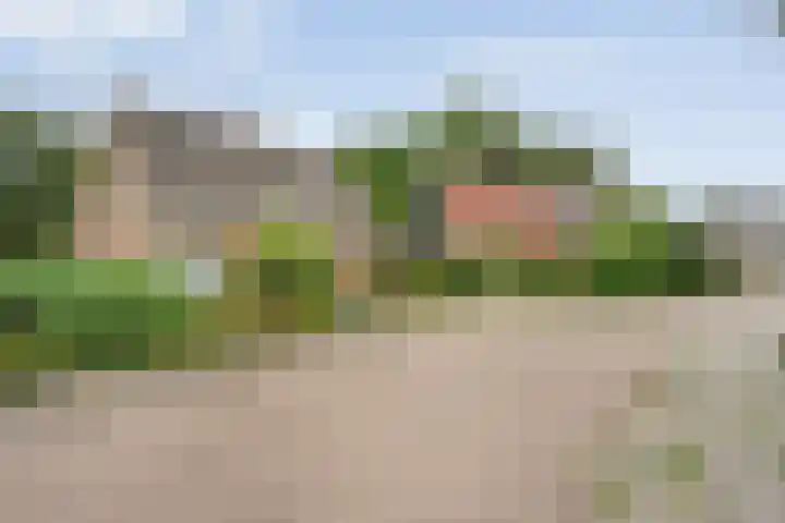 De Lisdodde 54 Dedemsvaart thumbnail 4