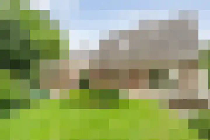 De Lisdodde 54 Dedemsvaart thumbnail 40