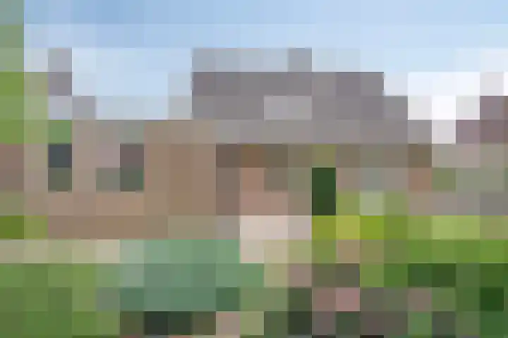 De Lisdodde 54 Dedemsvaart thumbnail 41