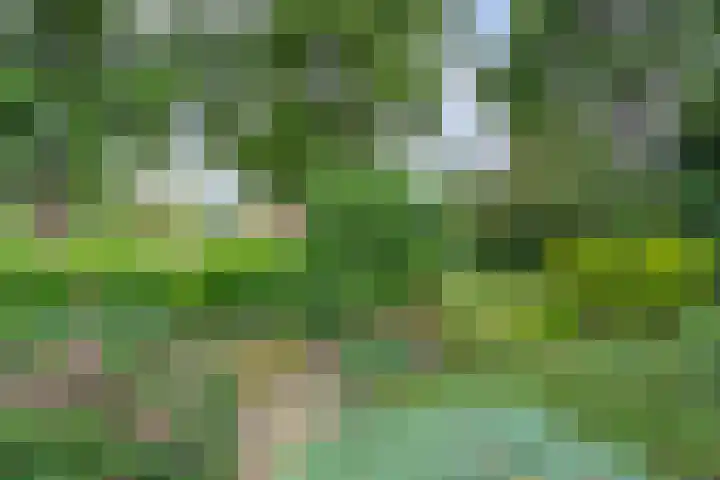 De Lisdodde 54 Dedemsvaart thumbnail 42