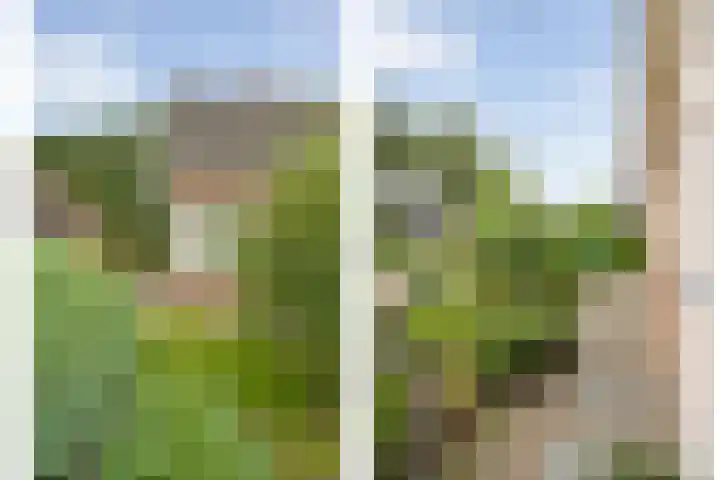 De Lisdodde 54 Dedemsvaart thumbnail 44
