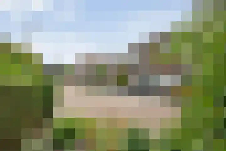 De Lisdodde 54 Dedemsvaart thumbnail 45
