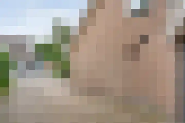 De Lisdodde 54 Dedemsvaart thumbnail 5