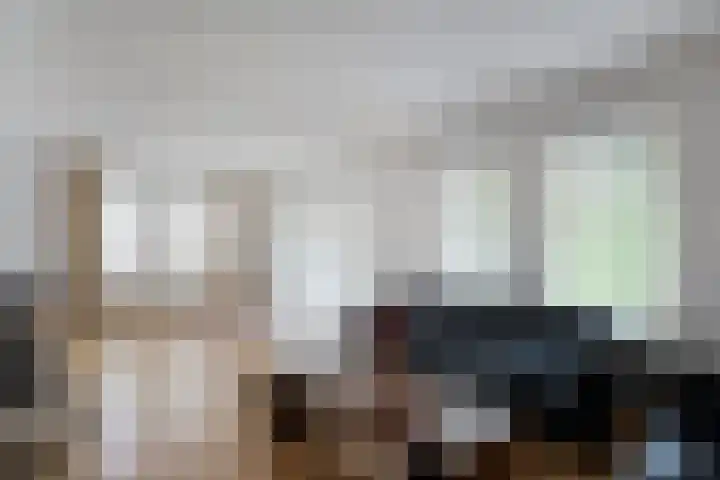 De Lisdodde 54 Dedemsvaart thumbnail 8